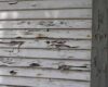 Repair or Replace: What to Do With Damaged Siding